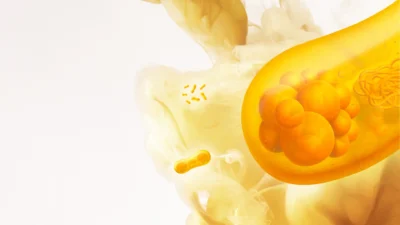 The microscopic world of Solein